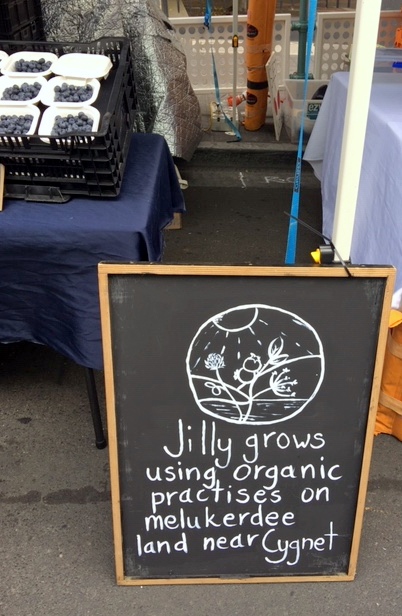 Jilly Grows blueberries